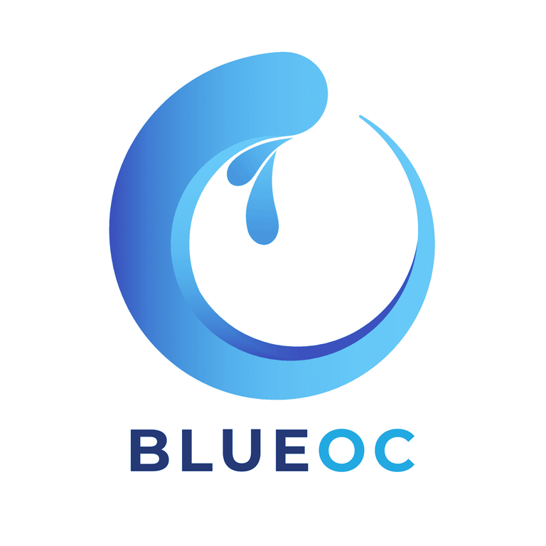 About BlueOC logo blueoc.png